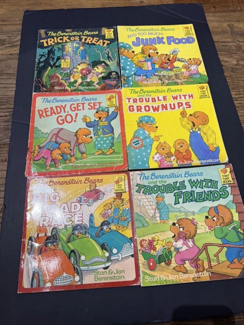 Lot 6 Berenstain Bears Living Lights Books